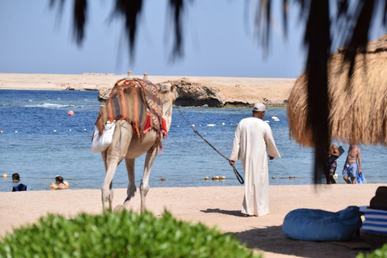 Sharm El Naga Resort And Diving Center Hurghada Exterior photo