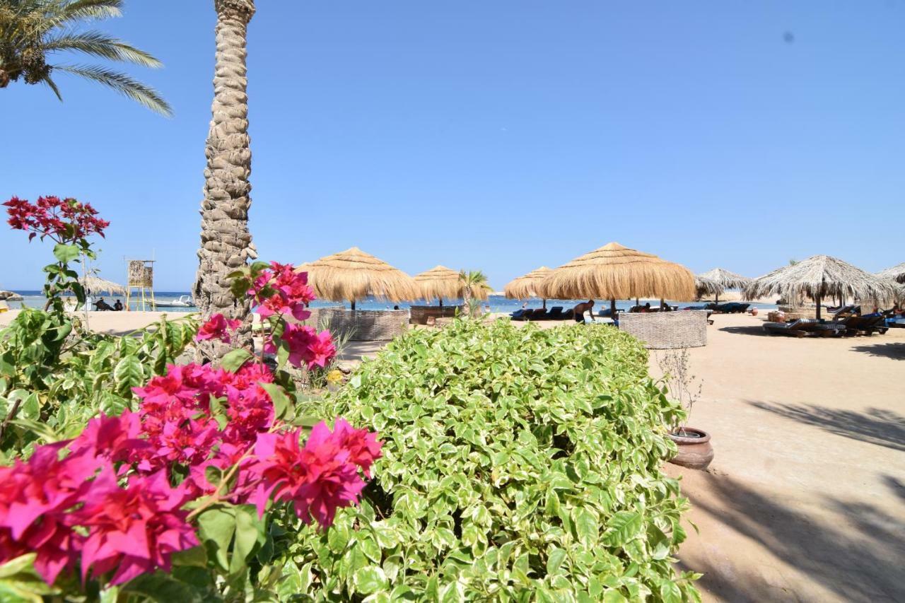 Sharm El Naga Resort And Diving Center Hurghada Exterior photo